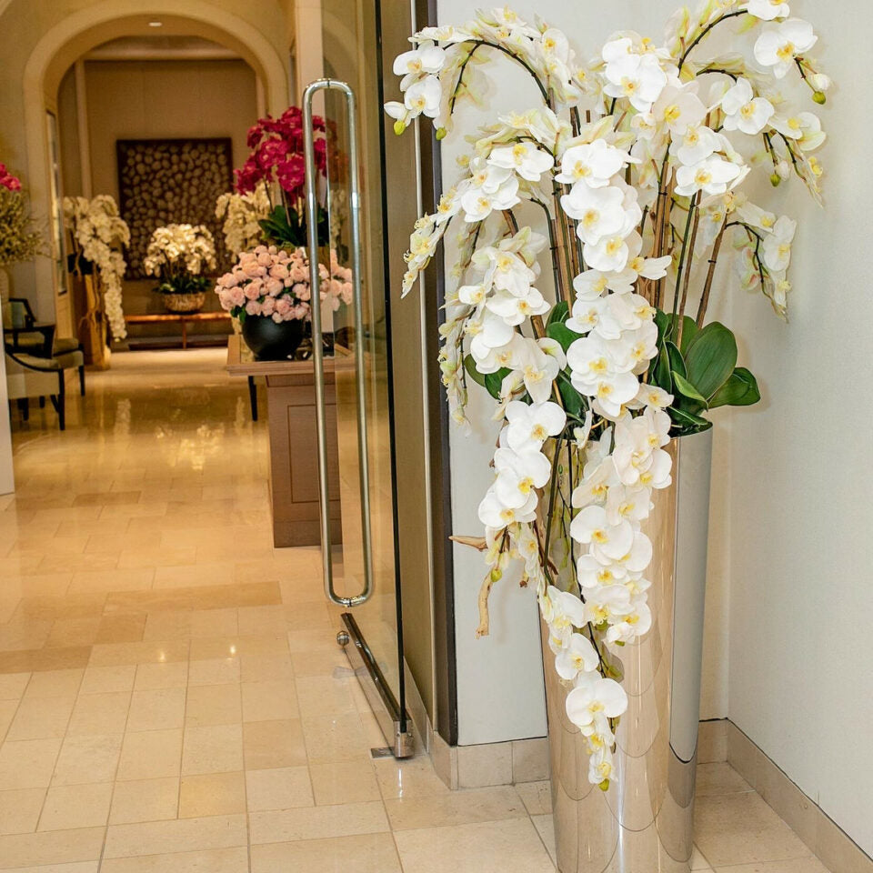 Kaskaden-Phalaenopsis auf poliertem Edelstahlkegel