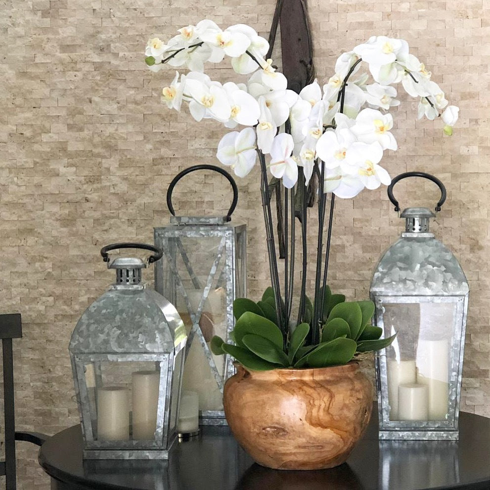 Weiße Orchideen in großer Teakholzschale