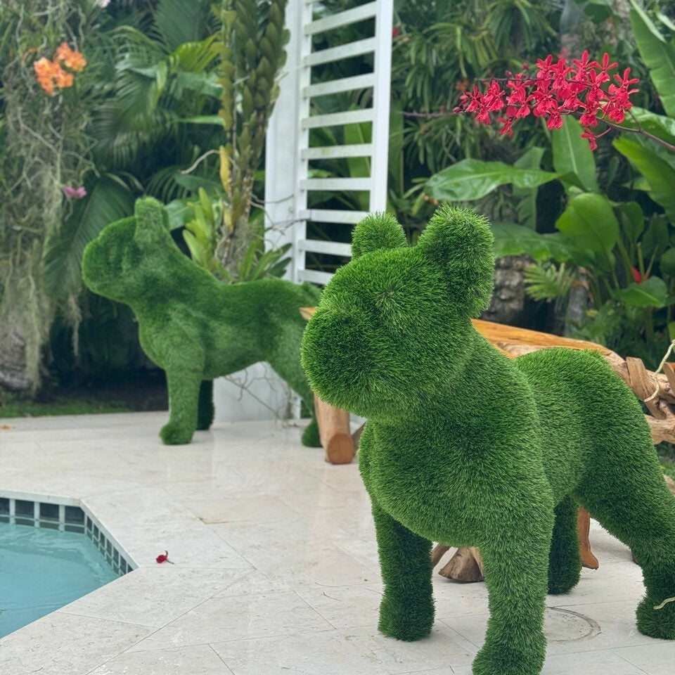 Künstliches Topiary in Form einer Französischen Bulldogge