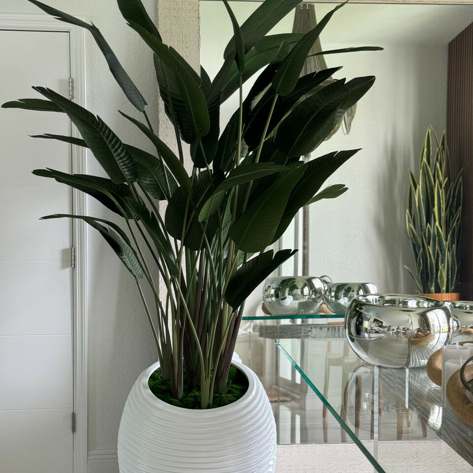 Paradiesvogelpflanze in Spiralvase in Weiß