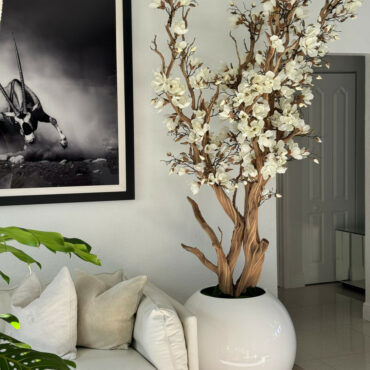 Weißer Magnolienbaum im glänzend weißen Globus-Pflanzgefäß, 76 cm