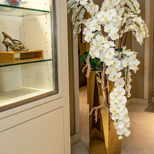Hängende Phalaenopsis-Orchideen im goldenen Prisma-Gefäß