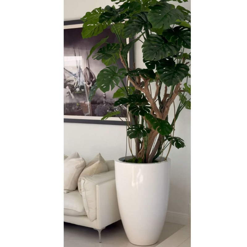 Monstera im Pflanzgefäß in Hochglanz-Weiß