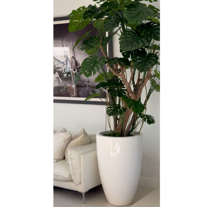 Monstera im Pflanzgefäß in Hochglanz-Weiß