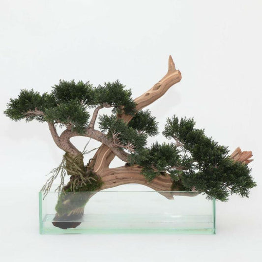 Künstlicher Bonsai aus Kriech-Wacholder im Glastopf