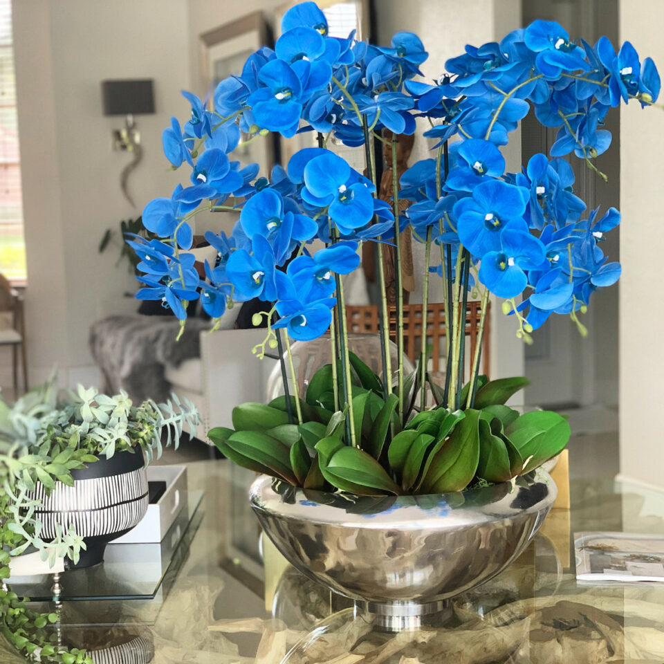 Blaue Phalaenopsis-Orchideen in Avenue-Schale