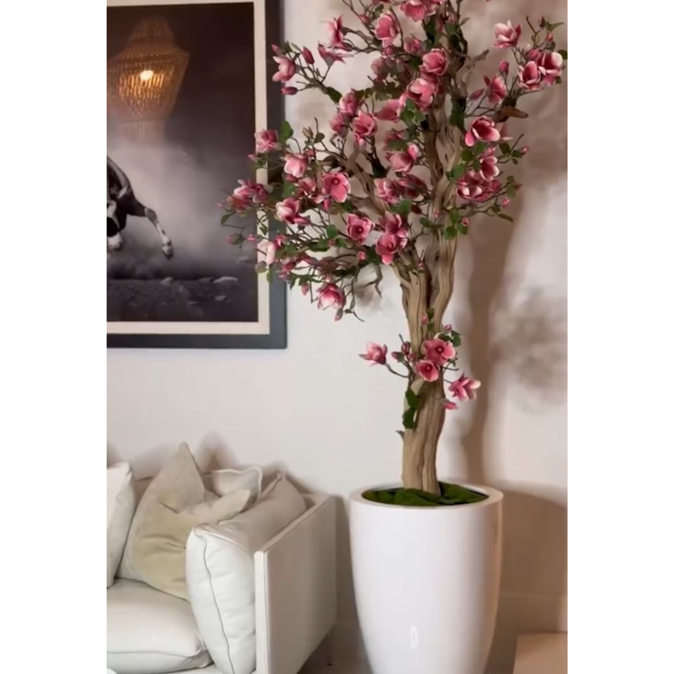 Rosa Magnolienbaum im strahlend weißen St. Tropez Pflanzgefäß