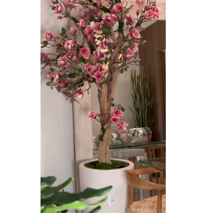 Rosa Magnolienbaum im strahlend weißen St. Tropez Pflanzgefäß
