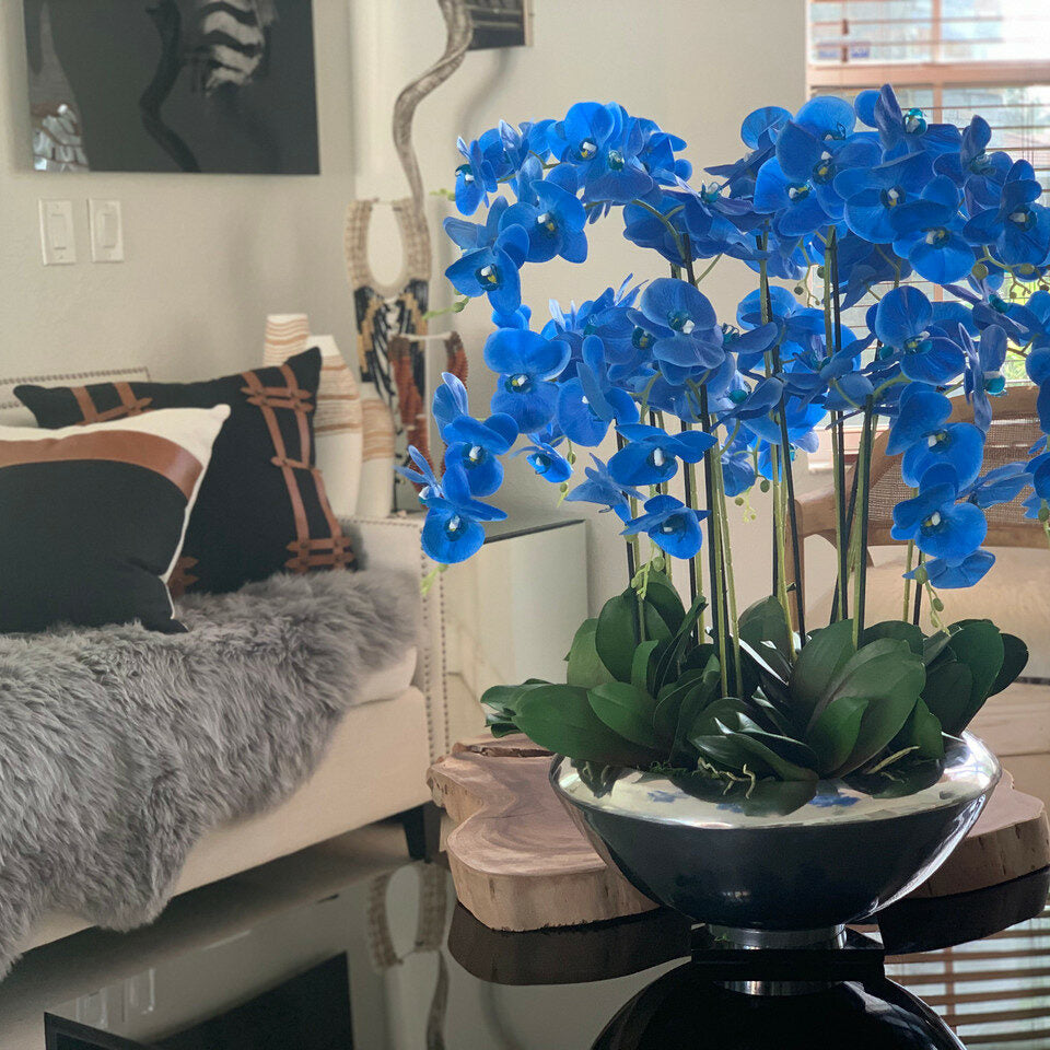 Blaue Phalaenopsis-Orchideen in Avenue-Schale