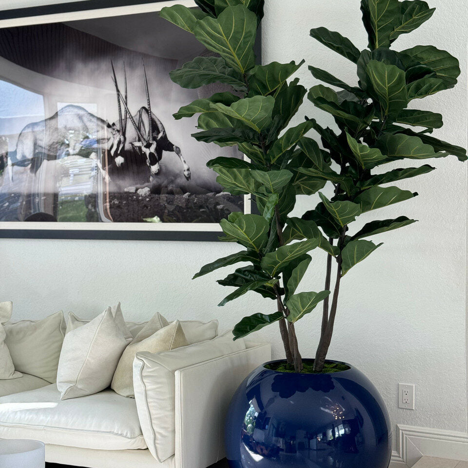 Blaue Globusvase (30″) mit Geigen-Feige