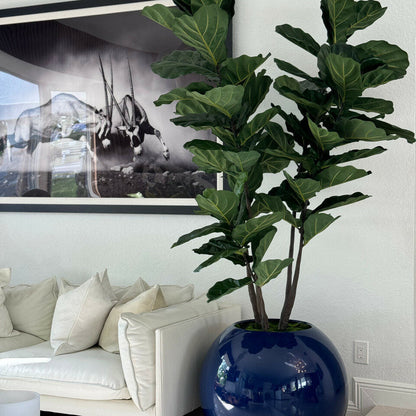 Blaue Globusvase (30″) mit Geigen-Feige