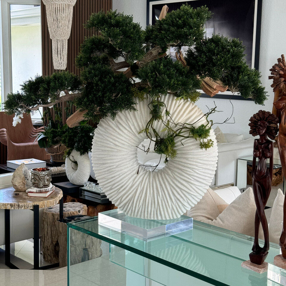 Hängender Bonsai mit Treibholz in großer Eternity-Vase