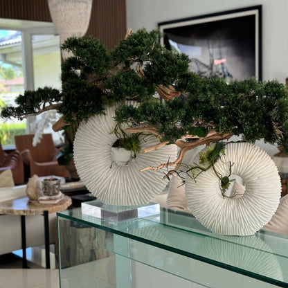 Hängender Bonsai mit Treibholz in großer Eternity-Vase