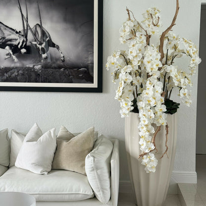 Rote Phalaenopsis im mittelgroßen goldenen Pflanzgefäß