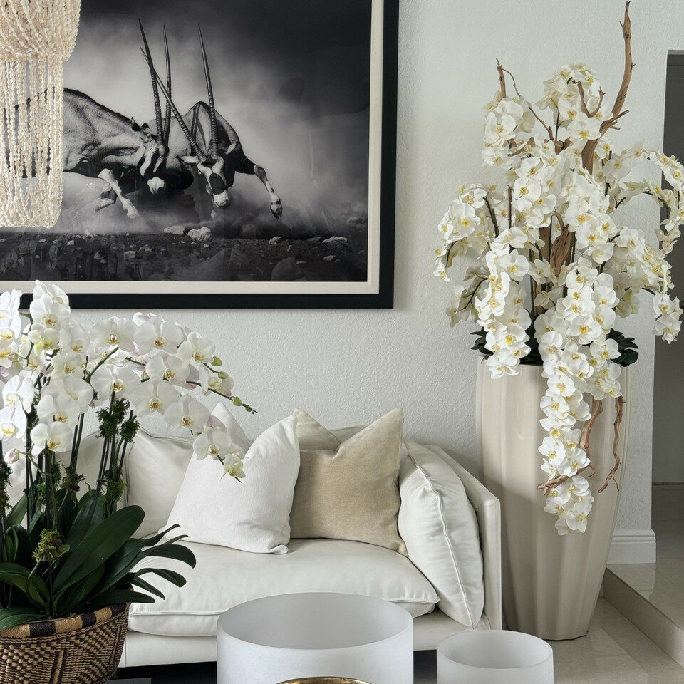 Rote Phalaenopsis im mittelgroßen goldenen Pflanzgefäß