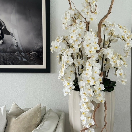Rote Phalaenopsis im mittelgroßen goldenen Pflanzgefäß