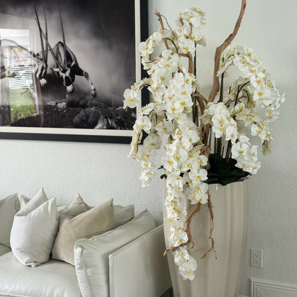 Rote Phalaenopsis im mittelgroßen goldenen Pflanzgefäß