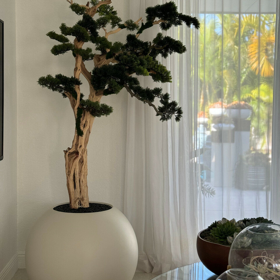 Bonsai-Baum im globusförmigen Pflanzgefäß in Satin-Beige – 180 cm