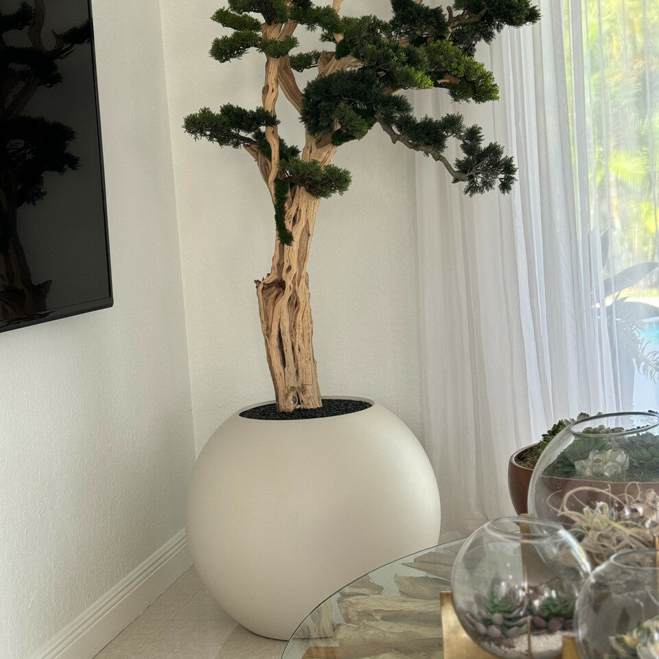 Bonsai-Baum im globusförmigen Pflanzgefäß in Satin-Beige – 180 cm