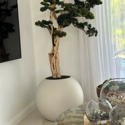 Bonsai-Baum im globusförmigen Pflanzgefäß in Satin-Beige – 180 cm