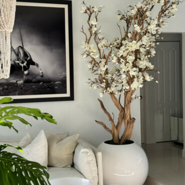 Weißer Magnolienbaum im glänzend weißen Globus-Pflanzgefäß, 76 cm