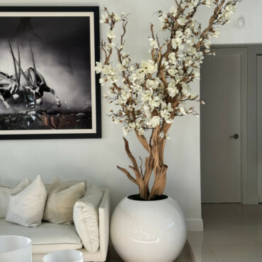 Weißer Magnolienbaum im glänzend weißen Globus-Pflanzgefäß, 76 cm