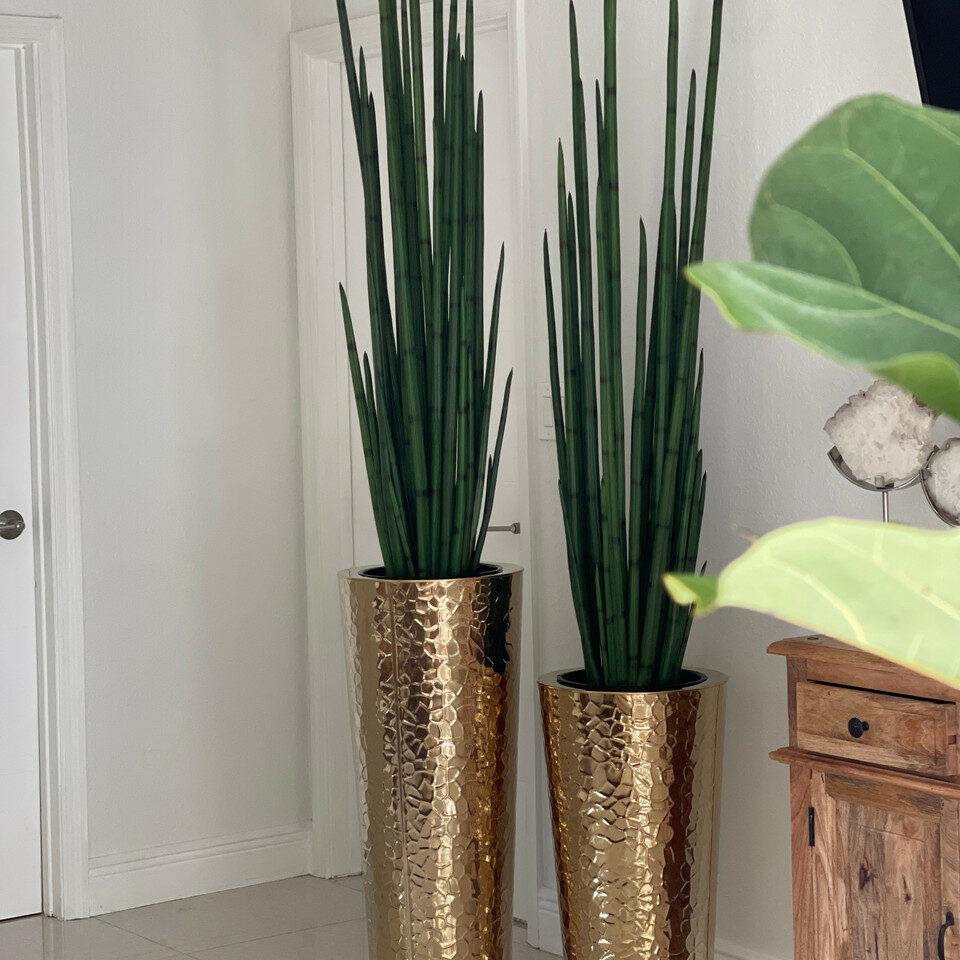 Großes Schlangen-Gras in konischer Vase aus goldfarbenem Edelstahl