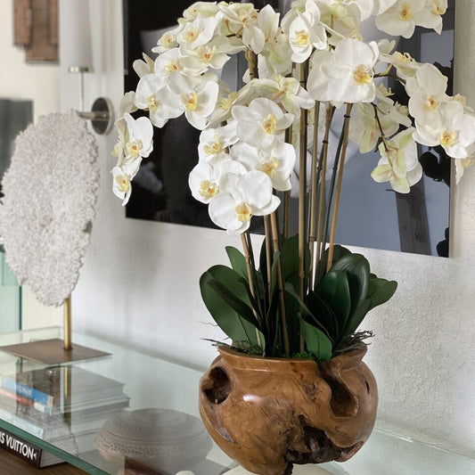 Weiße Orchideen in großer Teakholzschale